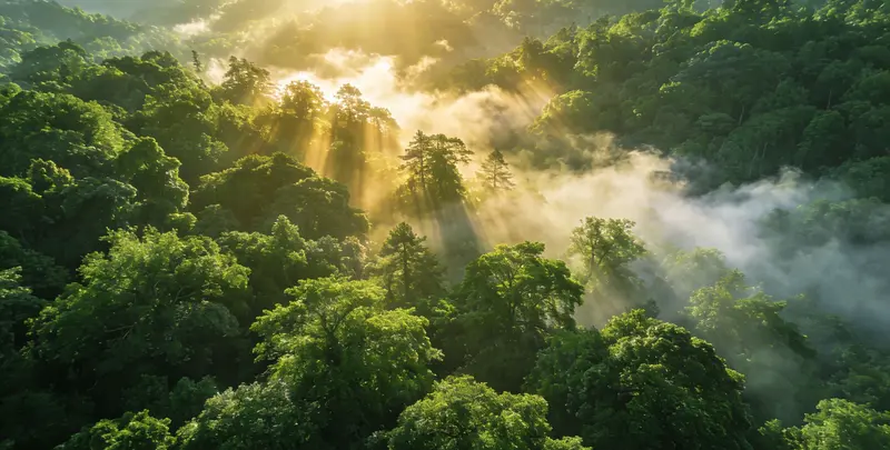 湖州肺癌（EGFR T790M)突变检测检测图1