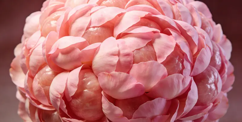 湖州乳腺癌21基因mRNA表达分析检测图1