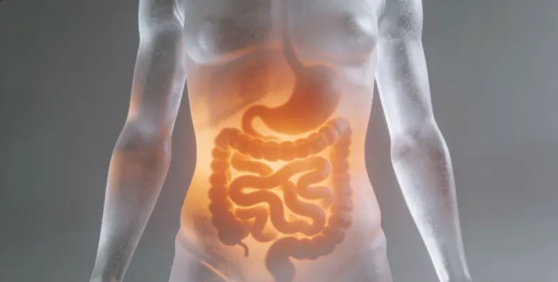 湖州肠癌甲基化检测检测图1